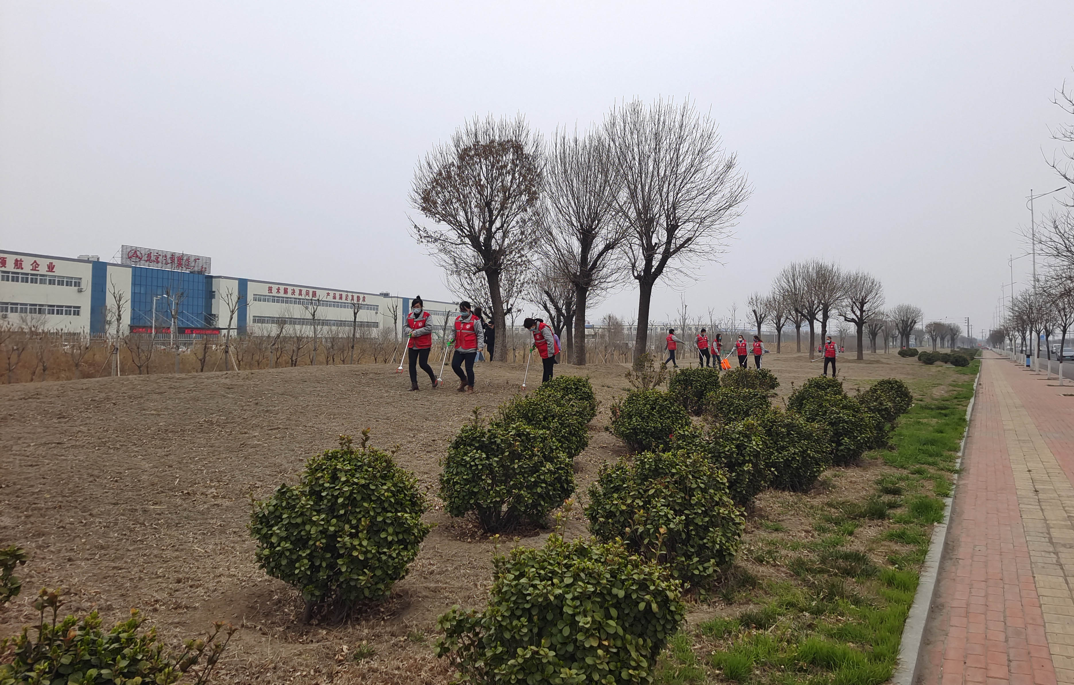 黃驊經濟開發區:開展人居環境整治 助力創文攻堅