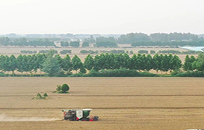 習近平總書記關切事|藏糧于地、藏糧于技,筑牢豐收之基