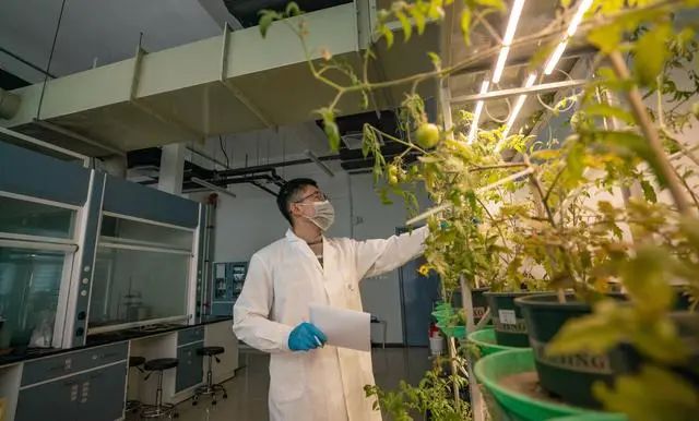 642394fda35c1.jpg 5.jpg