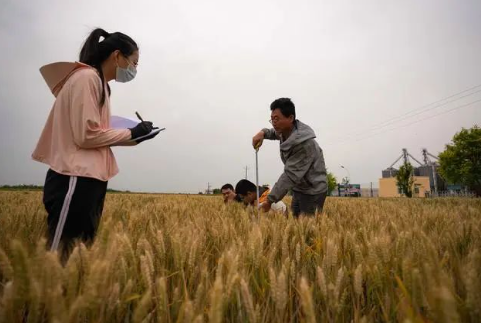 647046450e82b.png image.png