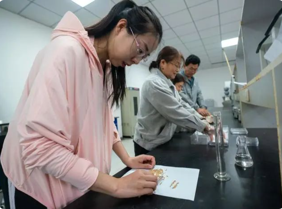 6470470e95248.png image.png