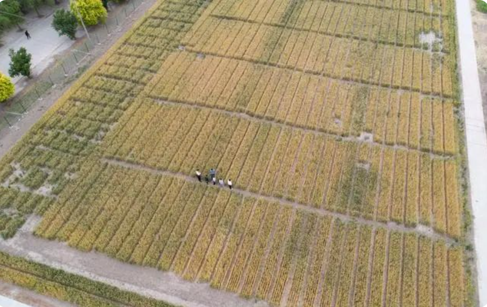 6470474993096.png image.png