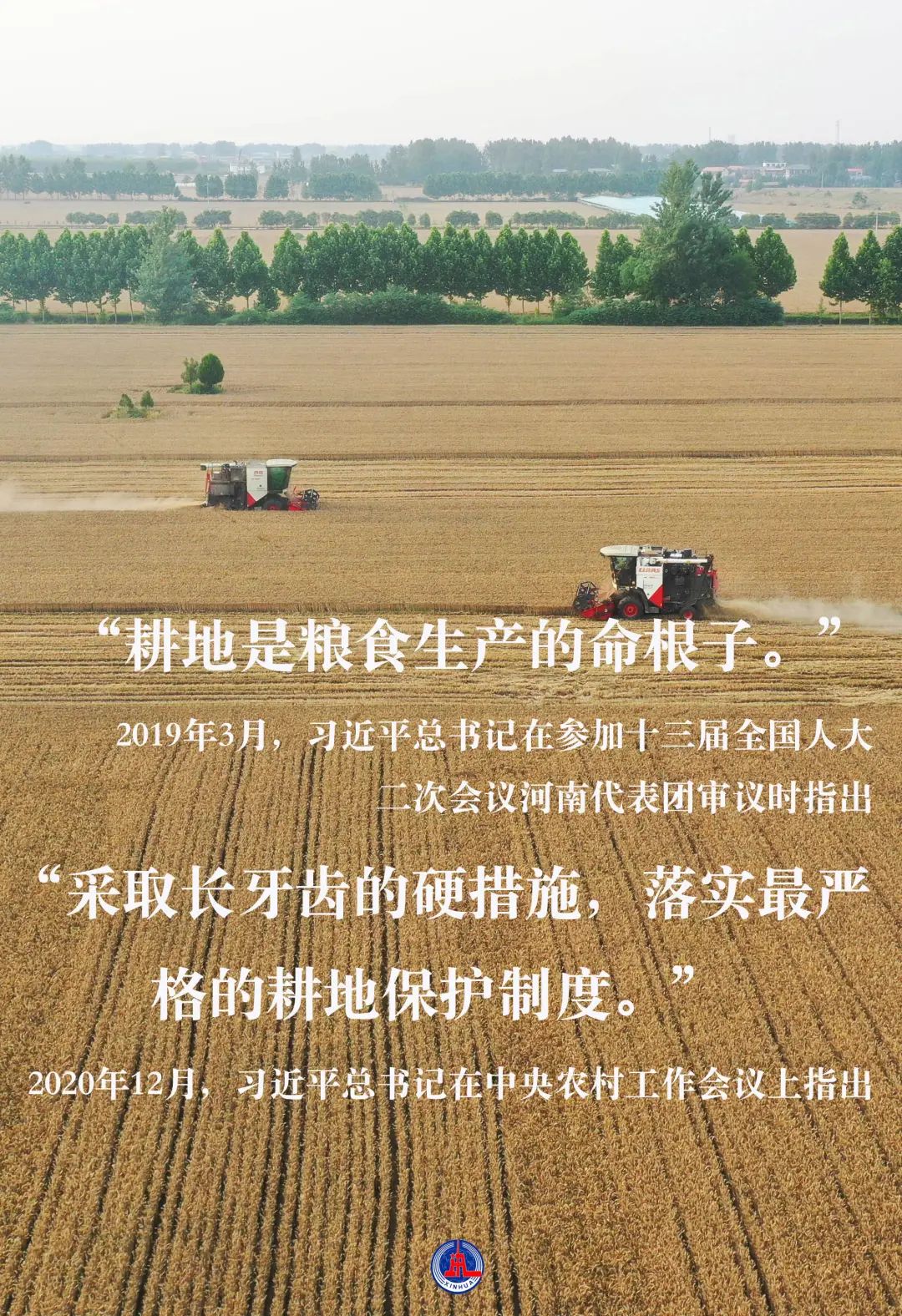 6499058a22b46.jpg 1.jpg