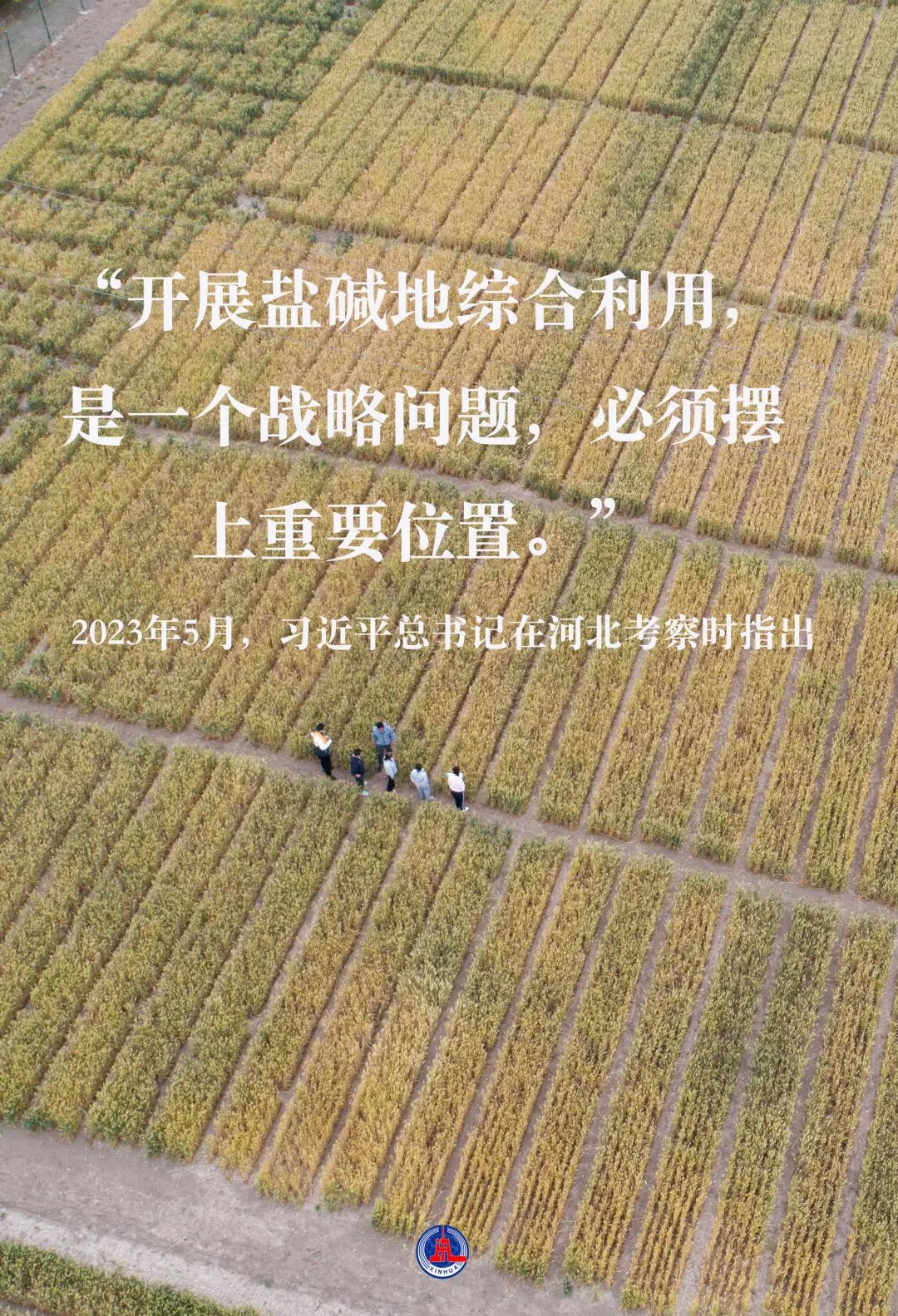 6499065905f17.jpg 5.jpg