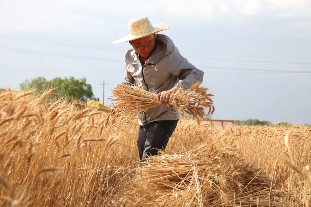 649a3ab764d7d.jpg 649a3ab764d7d.jpg