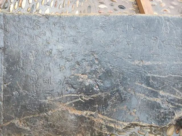 64ad0eee3b1e5.jpg 微信圖片_20230711161141.jpg